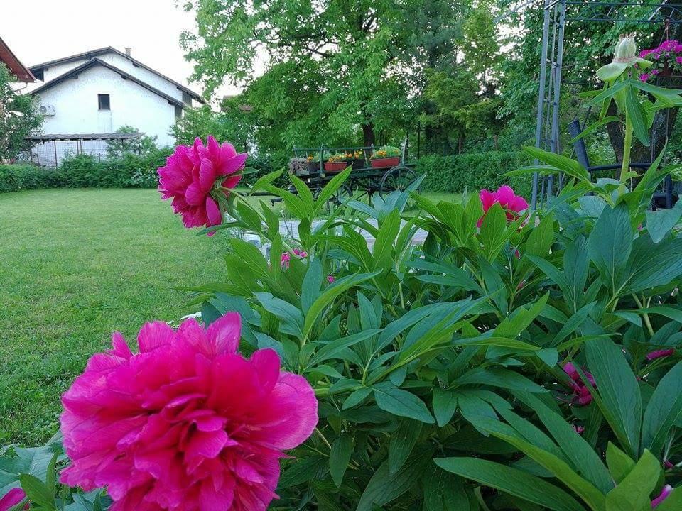 B&B Villa Una Bihać Dış mekan fotoğraf